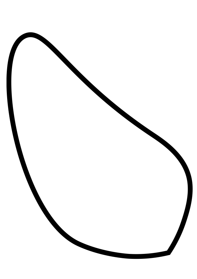 Preview of the Flower Parts printable